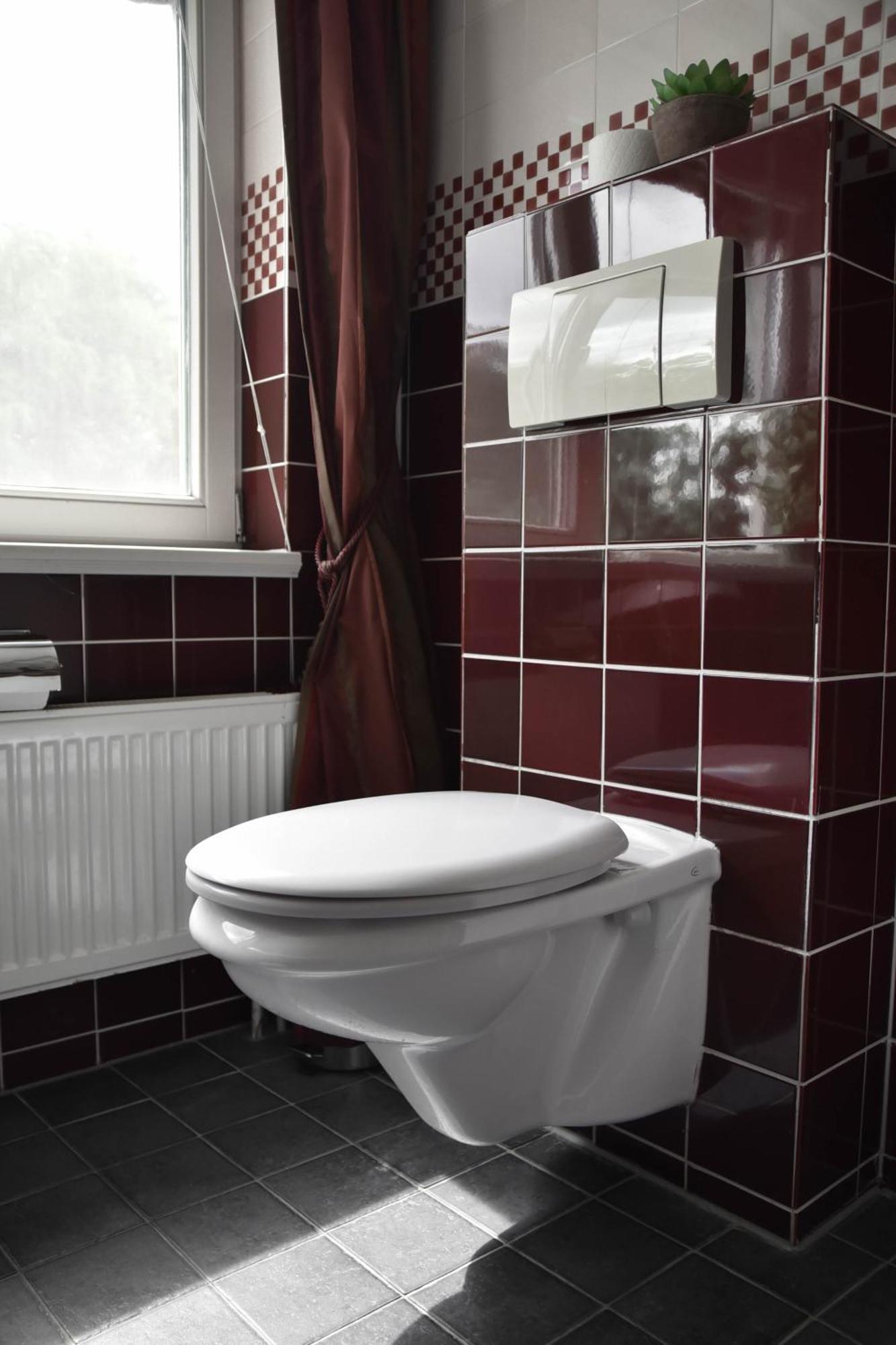 The Cosy Cottage For Comfort With Sauna And Hottub Зеволде Экстерьер фото
